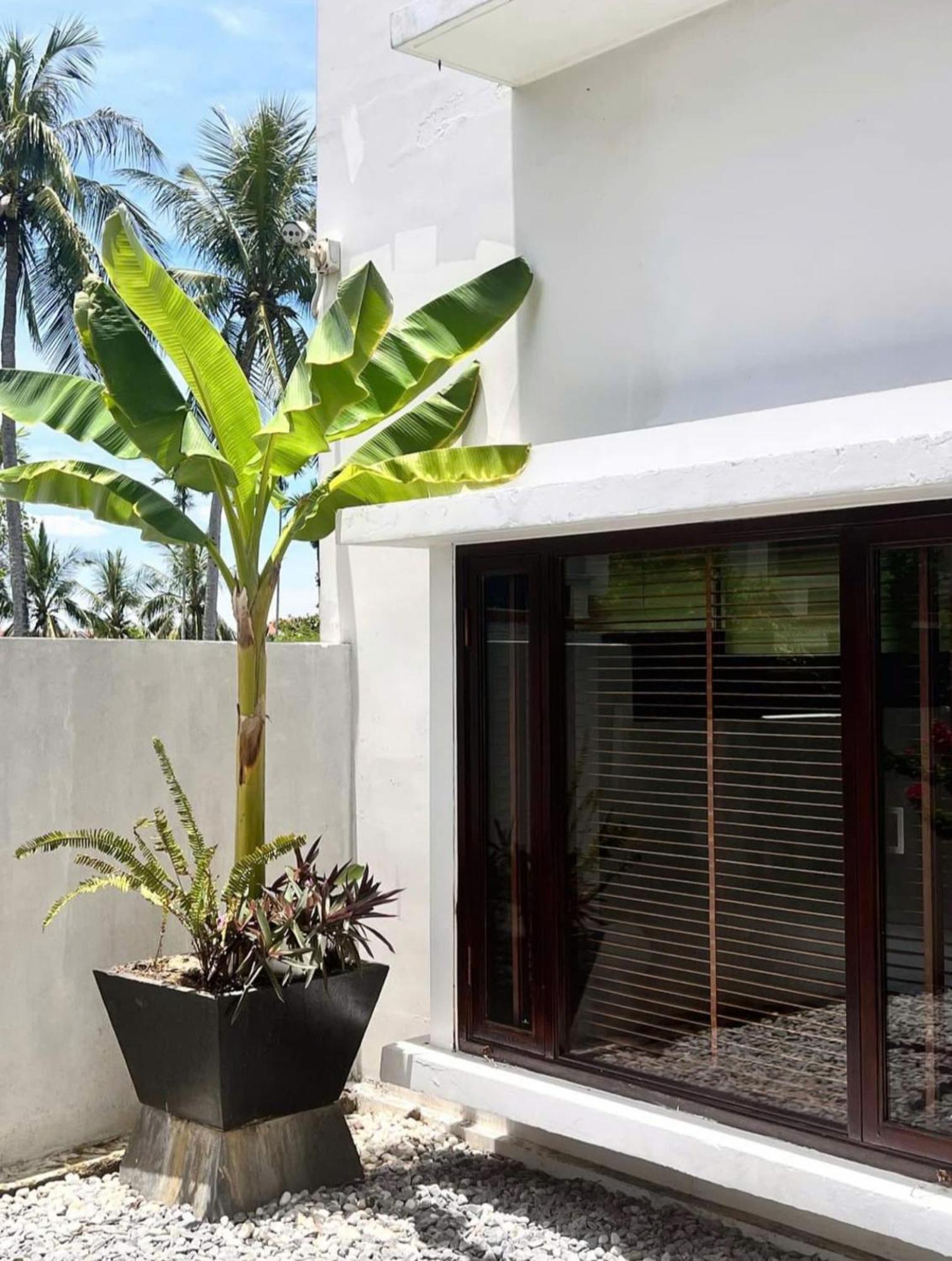 Happy Life Memories Hoi An Hotel & Spa הוי אן מראה חיצוני תמונה